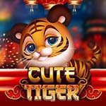 CUTE TIGER MC